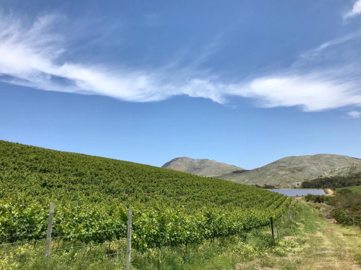 Kleine Vrede Farm Cottage Hermanus Esterno foto