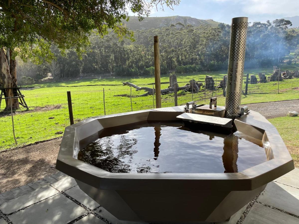 Kleine Vrede Farm Cottage Hermanus Esterno foto