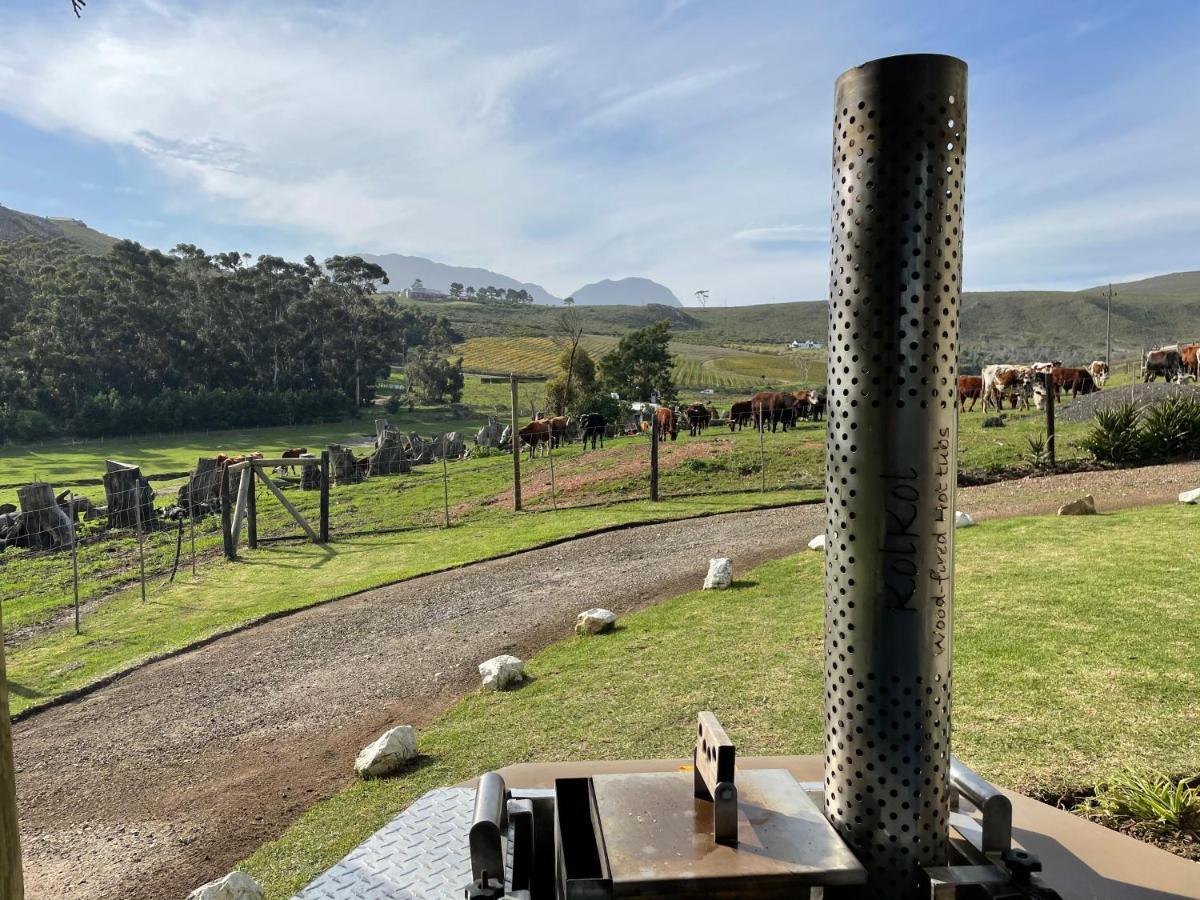 Kleine Vrede Farm Cottage Hermanus Esterno foto
