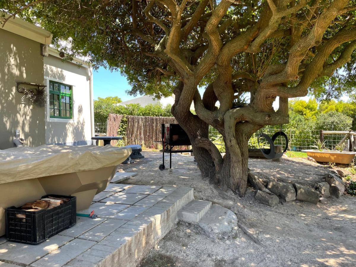 Kleine Vrede Farm Cottage Hermanus Esterno foto